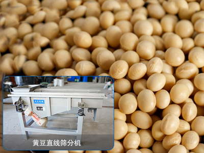 大豆直線篩分機