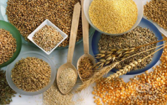 <b>糧食行業(yè)選擇什么樣的振動篩比較合適？</b>